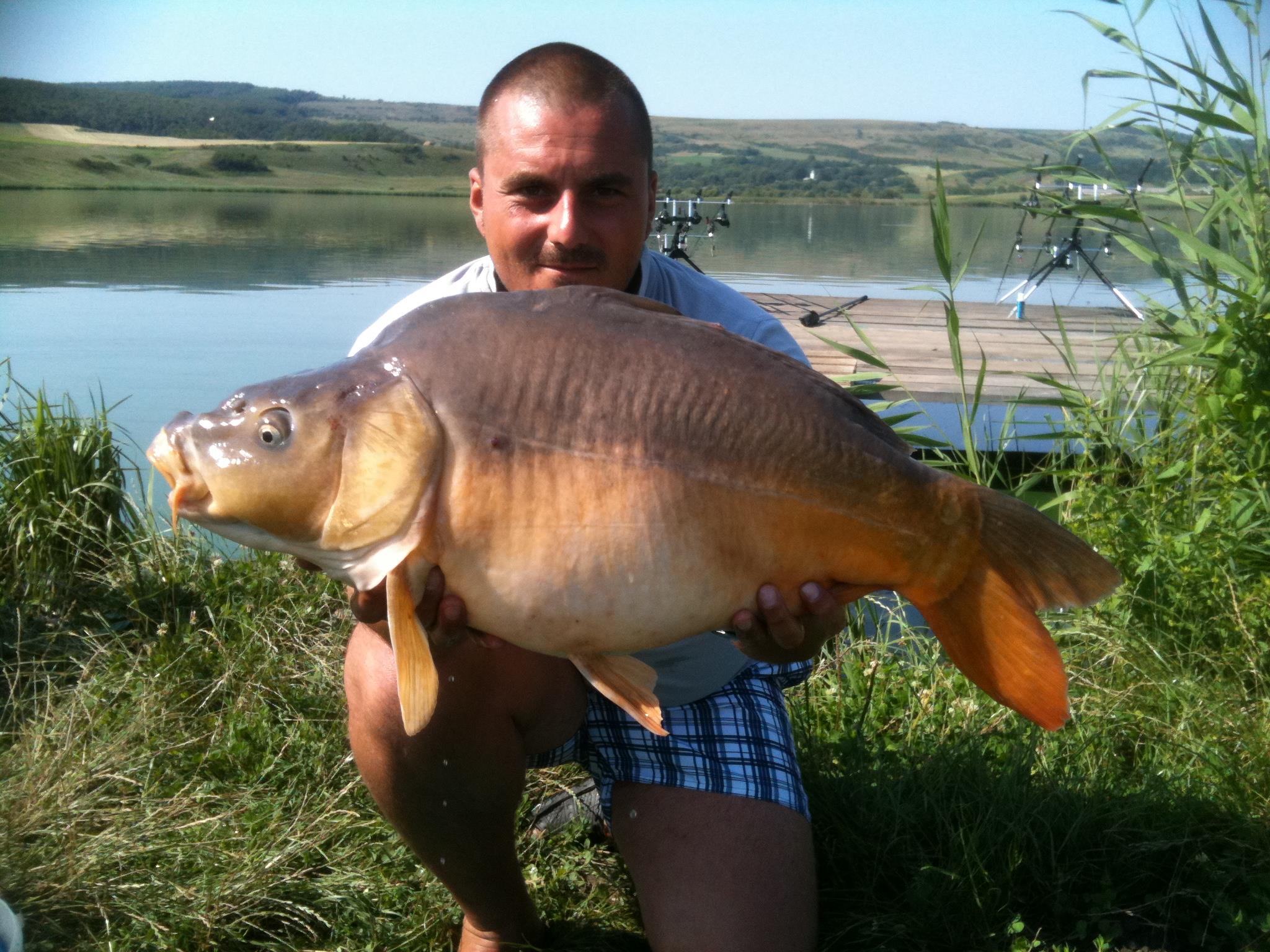 ccarp - IMG_0600.JPG